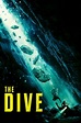 The Dive (2023) — The Movie Database (TMDB)