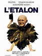 Critique du film L'Etalon - AlloCiné