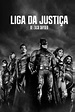 Liga da Justiça de Zack Snyder (2021) - Pôsteres — The Movie Database ...