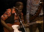 Muddy Waters - They Call Me Muddy Waters - ChicagoFest 1981 - YouTube