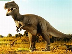 Fotos de dinosaurios