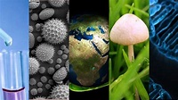 Importancia de la Biología: 10 Razones Claves