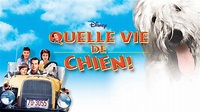 Regardez Quelle vie de chien | Film complet | Disney+