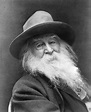 Walt Whitman: Translating Nature Literary Ramblings Literary Ramblings