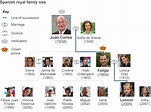 Profile: Spain's King Felipe VI | Royal family tree, Family tree, Royal ...