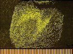 Fingerprints are more than just patterns; they’re chemical identities