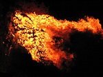 Free burning tree Stock Photo - FreeImages.com