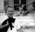 26 Interesting Vintage Photos of Ernest Hemingway With His Beloved Cats ...