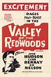 Valley of the Redwoods Movie Poster Print (11 x 17) - Item # MOVEE0668 ...