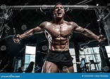 Brutal Caucasian Bodybuilder Working Out in Gym Stock Image - Image of ...