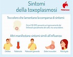 Toxoplasmosi: cos’è, trasmissione, cause, sintomi, cure e prevenzione