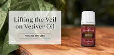 Lifting the Veil on Vetiver Oil: Origins and uses - Young Living Blog