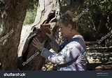 Lady Praying Olive Tree Garden Gethsemane Stock Photo 562860325 ...