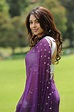 Richa Gangopadhyay in Saree Hot Stills