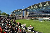 Ascot Racecourse: What Royal Ascot means to you