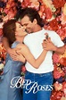 Ver Película Completa Mil ramos de rosas [1996] en Español Latino ...