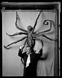 FILM & TALK: Louise Bourgeois: The Spider, the Mistress and the ...