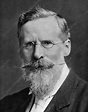 William Crookes - Stock Image - C046/0313 - Science Photo Library