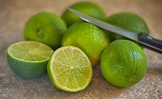 Citron vert (Citrus aurantiifolia) ou lime acide : plantation, culture
