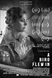 A Bird Flew In (2021) - FilmAffinity