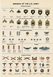 Insignia of the US Army guide : coolguides
