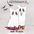 Ladyhawke, Dusk Til Dawn, remix (?) cover. art by Sarah Larnach | Dusk ...