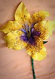 Handmade Rapunzel Flower from Tangled that Glows