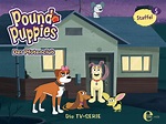 Amazon.de: Pound Puppies - Der Pfotenclub - Staffel 5 ansehen | Prime Video
