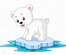 Animado: osos polares animados | dibujos animados de oso polar — Vector ...