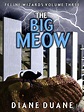 The Big Meow • Diane Duane dot com