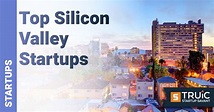 28 Top Silicon Valley Startups 2024 | TRUiC