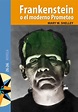 Frankenstein de Mary Shelley - Libro - Leer en línea