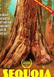 Sequoia - película: Ver online completas en español
