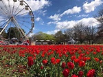 Floriade Canberra : More Than Just A Big Flower Festival - The Kid ...