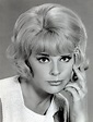 Elke Sommer | Hair icon, Beautiful actresses, Classic actresses