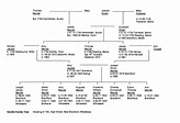Neville Family Tree: the branch which settled at 165 High Street New ...