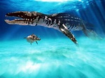 Liopleurodon Pictures & Facts - The Dinosaur Database