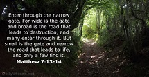 Matthew 7:13-14 - Bible verse - DailyVerses.net