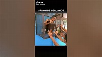 Spawn de peruanos - YouTube