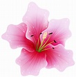 Flower PNG Transparent Flower.PNG Images. | PlusPNG
