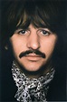 Ringo Starr - Porsha Salerno