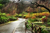 Great Places At The Dandenong Ranges - Cupersoft