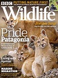 英国《BBC Wildlife》野生动物杂志PDF电子版【2020年合集13期】 | 以画美学杂志