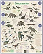 Dinosaurier Arten Liste Mit Bild - Welt Irza Info