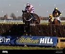 William Hill Horse Racing Stock Photos & William Hill Horse Racing ...