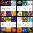 Monthly Birthstones and Flowers - Interesting Facts