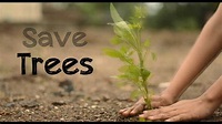 Why Saving Trees Will Be The Benefit For Your Future and Earth - Mad ...