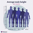 What's the average height for men? | Patient