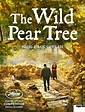 Film The Wild Pear Tree - Cineman