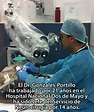 Experiencia del Dr. Marco Gonzales-Portillo Showing, neurocirujano en ...